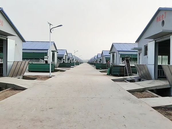 羊栏